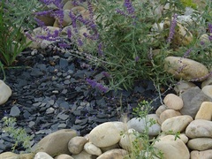 paillage schiste noir