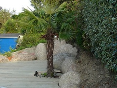 terrasse bloc granit rond