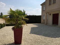 cour de maison galet beige
							