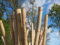bambou tige decor